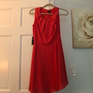 NWT Express Dress